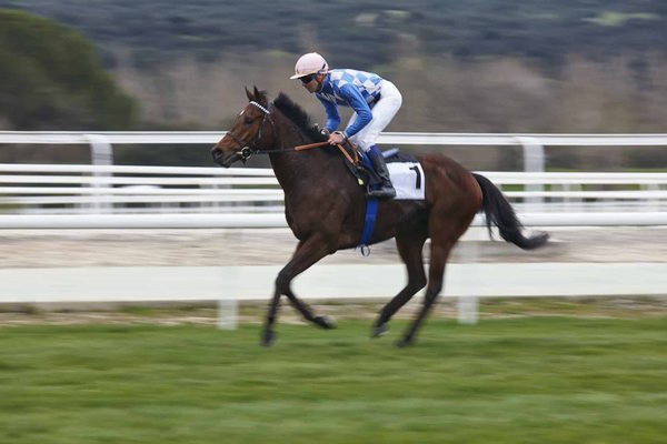 Comment suivre le Prix d'Amérique PMU 2024 en ligne ?